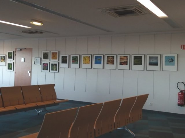 Exposition «Beautés invisibles du Jurançon» en salle d'embarquement Exposition «Beautés invisibles du Jurançon» en salle d'embarquement